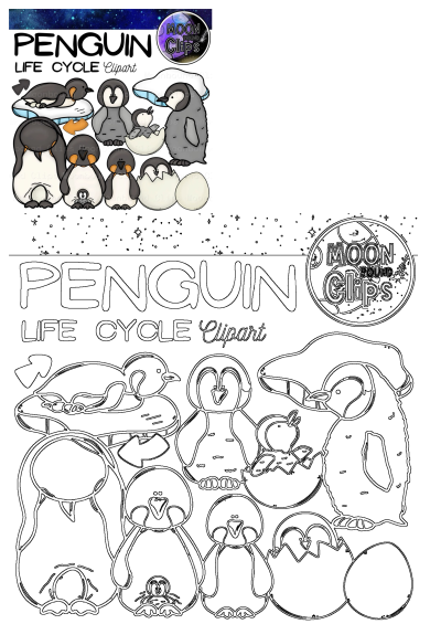 Full penguin life cycle clipart showing eggs, hatching chicks, baby, and adult penguins on snow, set against a space background. Includes outline versions.