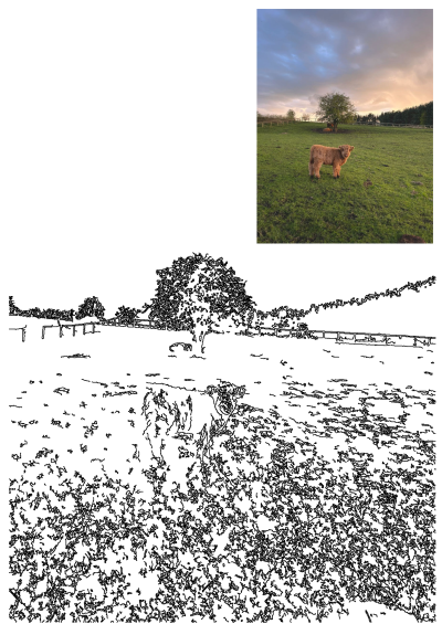 An adorable Highland calf stands in a lush green field under a beautiful sunset sky, featuring warm colors and a serene farm setting.