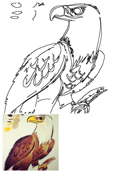 Detailed eagle drawing illustration perched on a tree branch, featuring a strong beak and sharp eye. Includes a small colored reference.