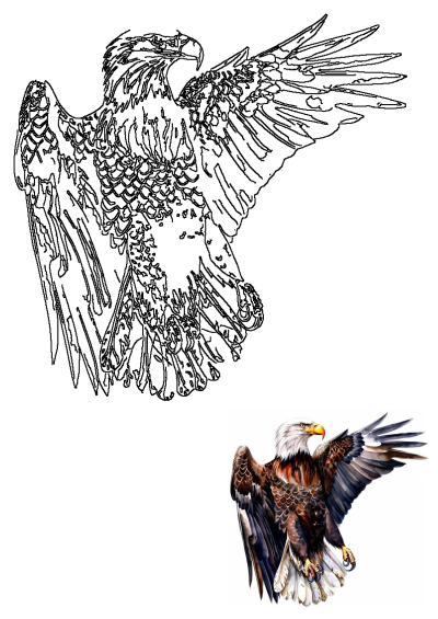 A detailed artistic watercolor illustration of an eagle flying with wings spread, featuring vibrant colors and a crisp outline version.