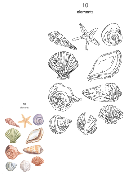 Collection of vibrant watercolor seashells and starfish elements, also featuring matching black outline illustrations.