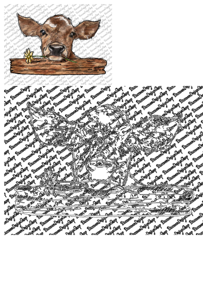 Cute watercolor brown cow heifer peeking over a rustic fence, holding a yellow flower. Farm animal clipart with outline.