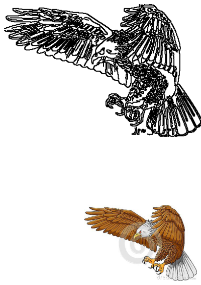 Majestic eagle flying with spread wings and outstretched claws, presented as both a detailed colored illustration and a clear line art drawing.