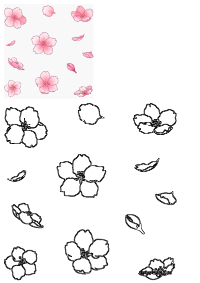 A delightful pattern illustration of delicate pink cherry blossoms and falling petals, accompanied by crisp black outline drawings of the flowers.