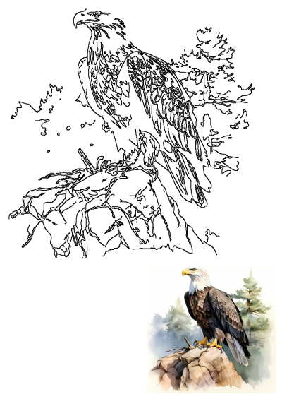 A majestic watercolor bald eagle perched on a rock amidst pine trees, presented as an outline with a full color reference.