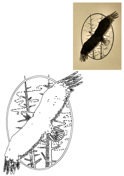 Eagle drawing flying over trees art within an oval frame, shown as a completed illustration and a clean outline.