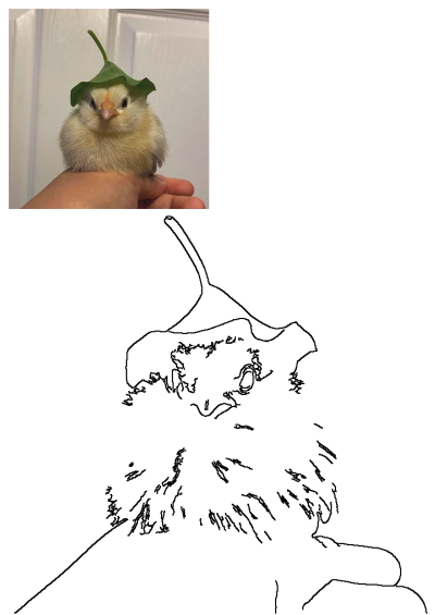 A cute, fluffy yellow baby chicken wearing a vibrant green leaf as a hat, held gently in a person's hand.