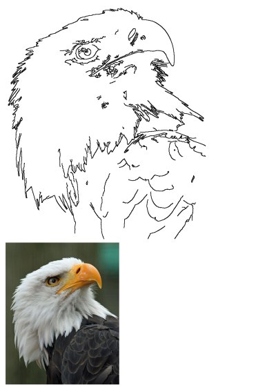 A close-up portrait of a majestic bald eagle, featuring its striking white head, golden eye, and vibrant orange beak.
