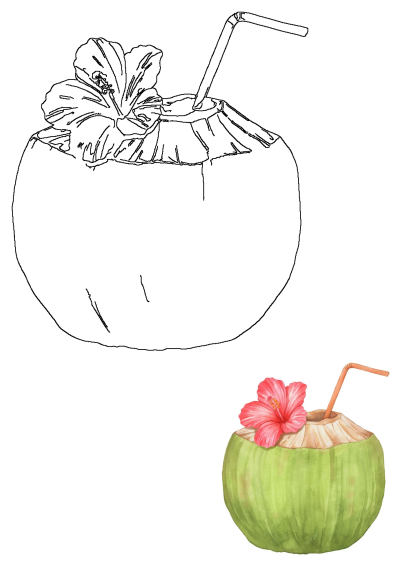 A vibrant watercolor coconut drink featuring a pink hibiscus flower and straw, presented with its clean black outline drawing.