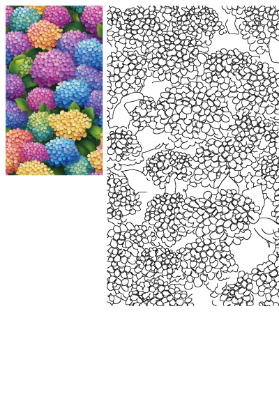 Vibrant hydrangea blossoms in a paint-by-numbers style are presented next to their blank outline, perfect for coloring.