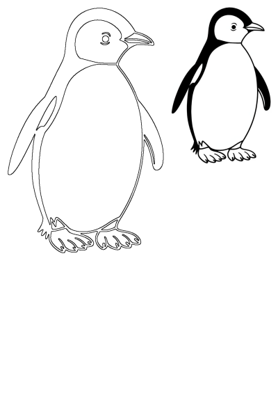 Two penguin illustrations, one a detailed black and white image and the other a simple outline drawing of a penguin.