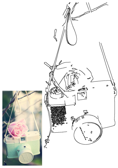 Charming vintage mint green camera with a delicate pink rose on top, gracefully hanging from a tree branch outdoors.