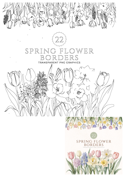 Transparent PNG spring flower border graphics. Features outline illustrations of tulips, daffodils, and hyacinths for design projects.