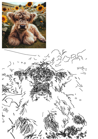 A cute, fluffy Highland cow calf with shaggy fur lies peacefully in a vibrant sunflower field under a sunny sky.