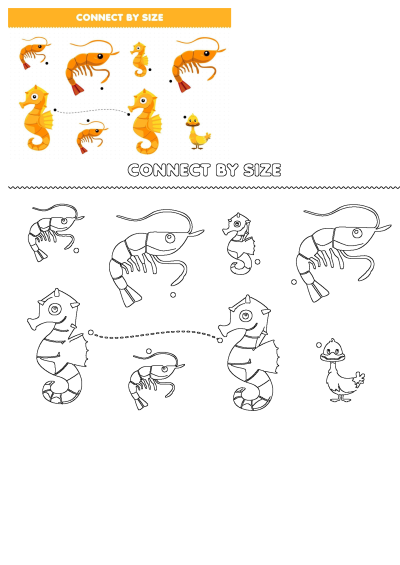 Engaging connect by size matching activity for kids, featuring colorful seahorses and shrimps, plus black and white outlines to trace.