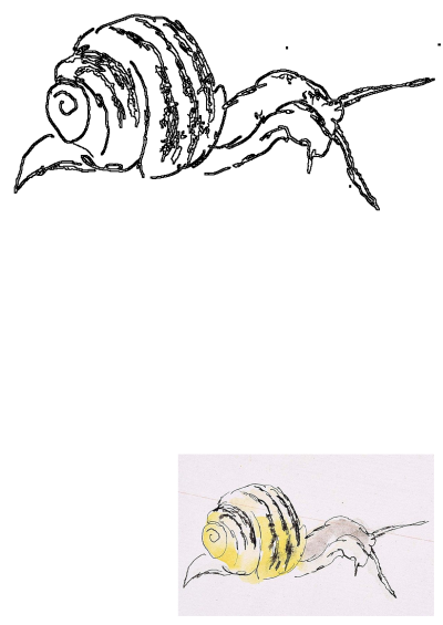 Drawing of a snail with a vibrant yellow shell and grey body, rendered as both a clean line art and a soft watercolor sketch.