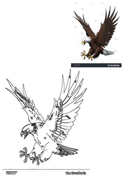 A powerful bald eagle in flight with wings spread and talons outstretched, presented as both a vibrant illustration and a clean outline for versatile use.