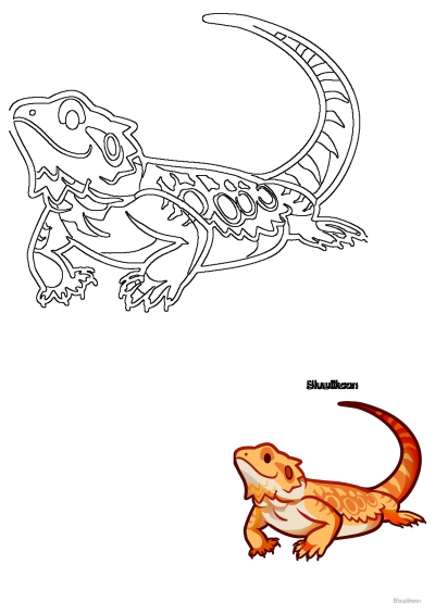 A digital art illustration featuring both a detailed black outline and a colorful, cute cartoon of a bearded dragon lizard.