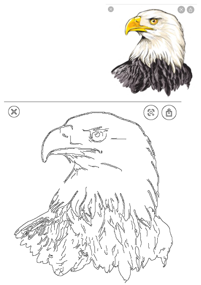 An eagle head illustration with yellow eyes, white head, black feathers, and its outline version on a white background.