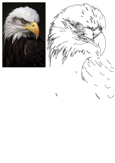 A detailed close-up of a majestic bald eagle with white head feathers and a sharp yellow beak, staring intently, alongside its outline drawing.