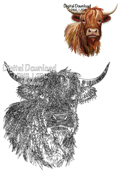 Detailed Highland Cow embroidery PNG clipart, Scottish cow digital wall art featuring both colored and outline versions for various projects.