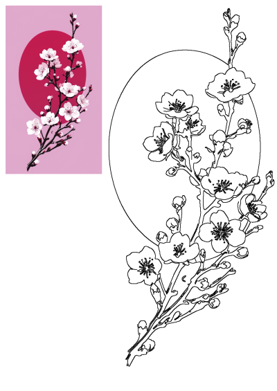 A graceful cherry blossom branch with white flowers and pink buds on a soft pink background, accented by a deep pink oval.