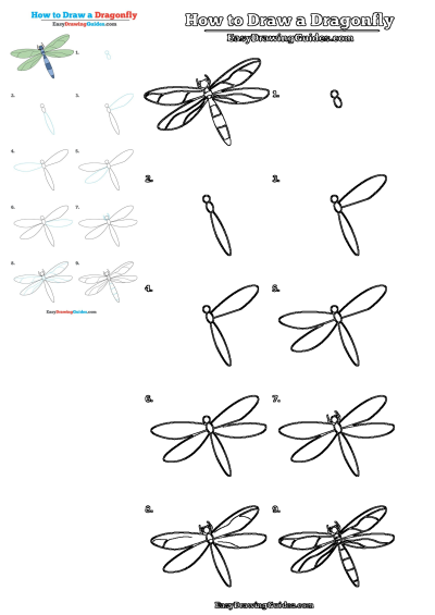 Learn how to draw a dragonfly with this easy step-by-step drawing guide, showing each stage from simple shapes to a finished outline.