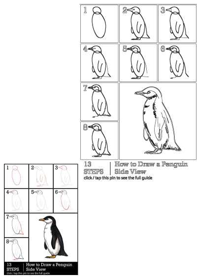 Learn to draw a penguin side view with this easy 13-step tutorial. Follow the guide from basic shapes to a detailed illustration.