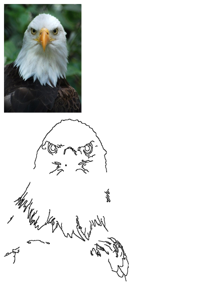 Close-up portrait of a majestic bald eagle with its distinctive white head and yellow beak, against a soft green leafy background.