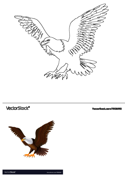 Outline and realistic illustration of a bald eagle flying with wings spread, representing a patriotic symbol.