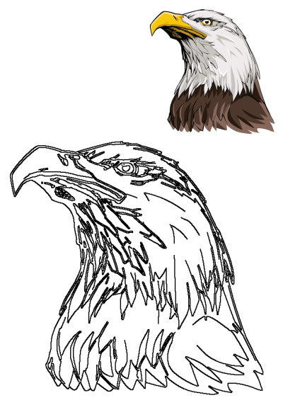 An artistic bald eagle head illustration showing a vibrant colored version and a clean outline drawing on a white background, perfect for patriotic designs.