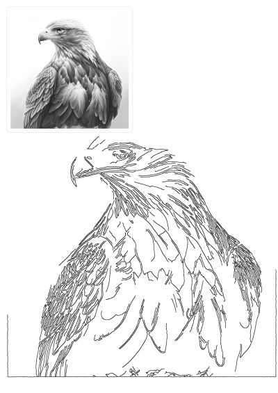 A detailed black and white drawing of an eagle's portrait, showcasing its magnificent head and feathers in a realistic style.