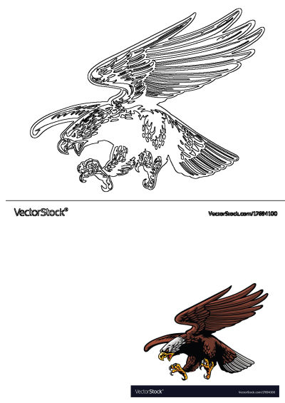A majestic eagle flying with wings spread and talons extended, presented in both a vibrant color illustration and a clean line art version.