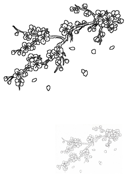 A detailed black and white line drawing of a cherry blossom branch, showcasing delicate sakura flowers, buds, and falling petals.