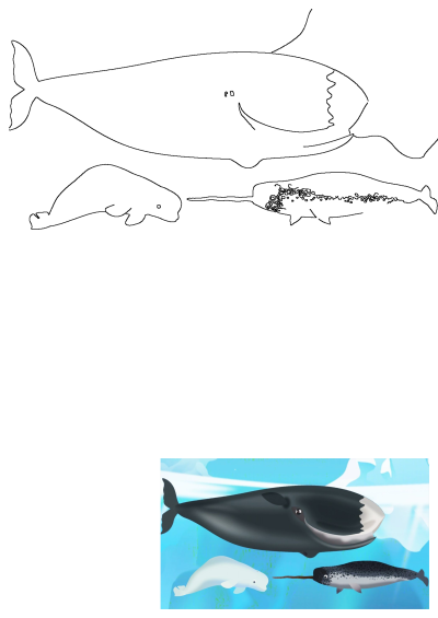 Cartoon illustration of majestic aquatic animals: a bowhead, beluga, and narwhal, depicted swimming in a vibrant arctic ocean.